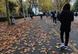 研究生数量反超本科生：第一学历歧视背后的就业困局
