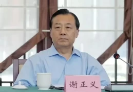 江苏省国资委主任谢正义涉嫌****违法被查