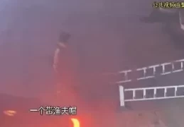上海闵行工厂30万软件**案告破：男扮女装嫌疑人落网记