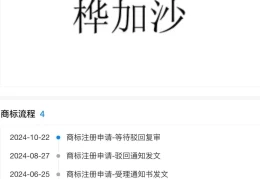 “桦加沙”企业名称注册增多，商标申请被驳回引发关注